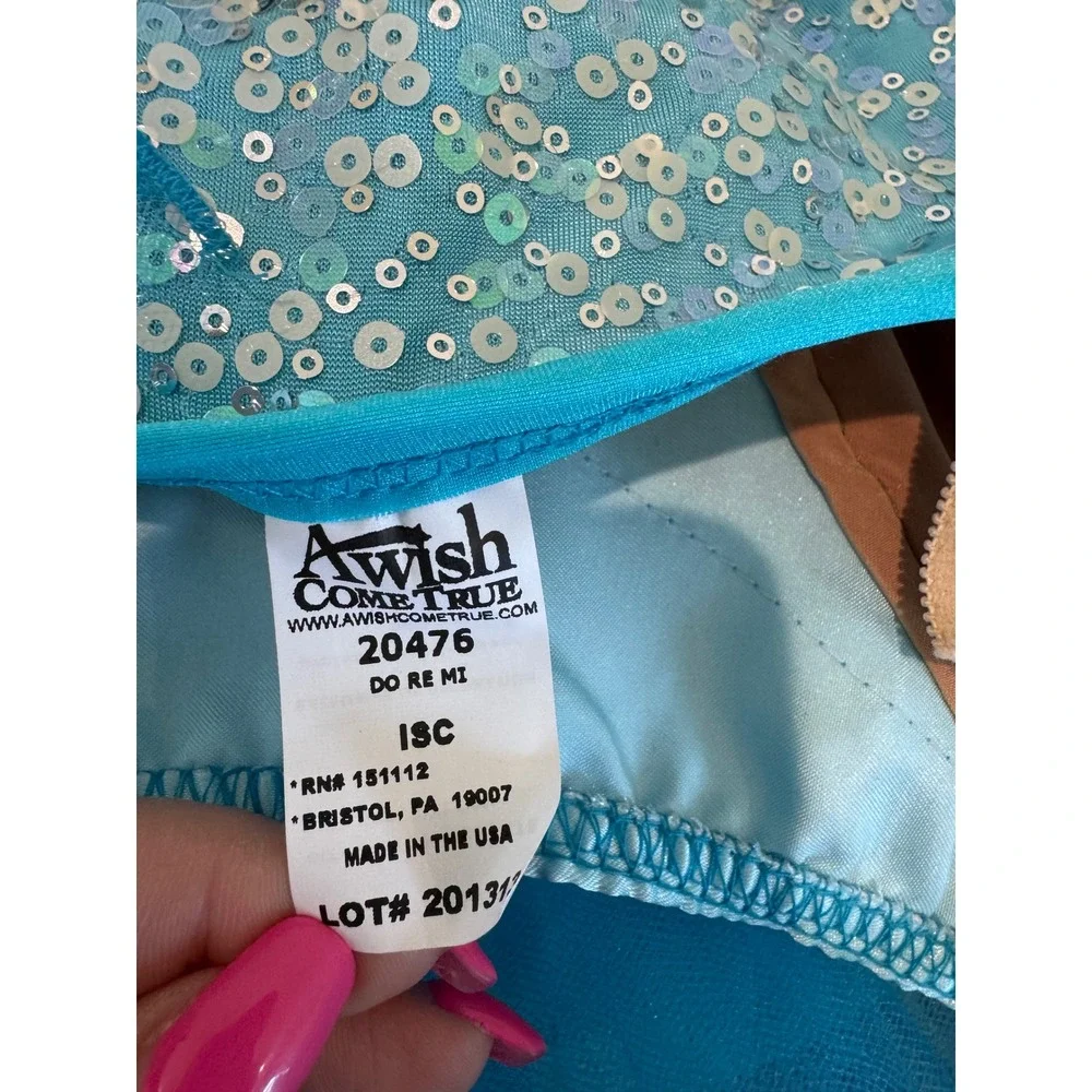 A Wish Come True Ballet Dance Tutu Costume ISC 5 6 Sequin Tulle Fairy Core 20476